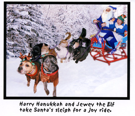 harryhanukkah.jpg