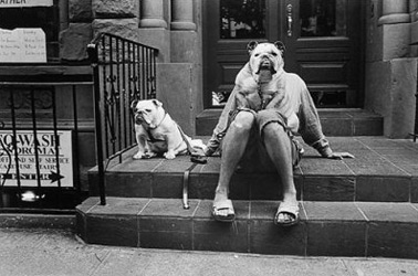 erwitt_nypug.jpg