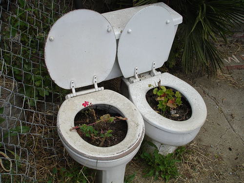 toilets.jpg